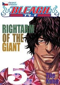 Kniha Bleach 5