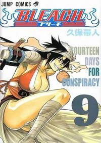 Kniha Bleach 9