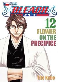 Kniha Bleach 12