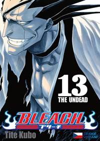 Kniha Bleach 13