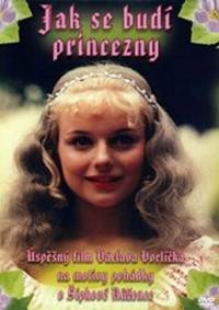 Kniha Jak se budí princezny - DVD