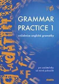 Kniha Grammar practice 1