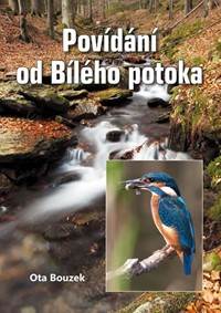 Kniha Povídání od Bílého potoka