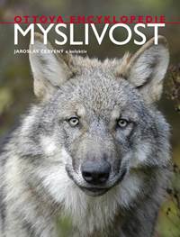 Myslivost