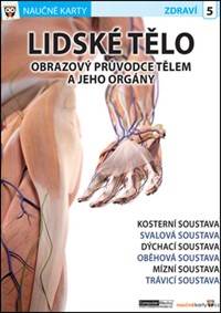 Naučné karty Lidské tělo