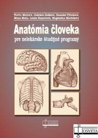 Anatómia človeka pre nelekárske študijné programy