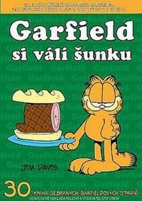 Kniha Garfield si válí šunku (č.30)