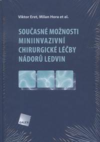 Současné možnosti miniinvazivní chirurgické léčby nádorů ledvin