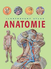 Anatomie Ilustrovaný atlas