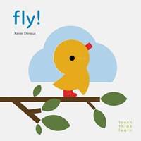 Kniha Touchthinklearn: Fly!