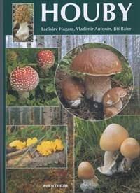 Houby
