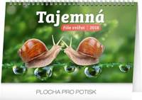 Tajemná říše zvířat - stolní kalendář 2018