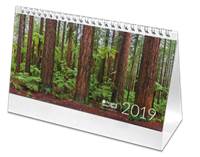 Stolový kalendár Amazing Planet 2019