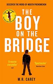 Kniha The Boy on the Bridge