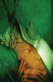 Kniha The Sandman  3 Dream Country 30th Anniversary Edition