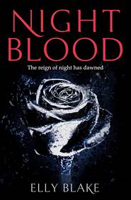 Kniha Nightblood