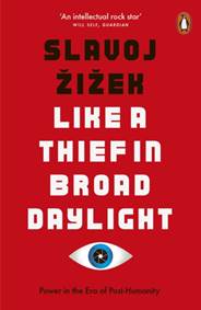 Kniha Like A Thief In Broad Daylight