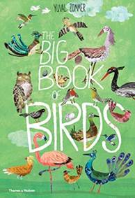 Kniha The Big Book of Birds