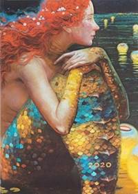 Diář Anticipation 2020 VSO