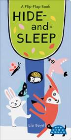Kniha Hide and Sleep