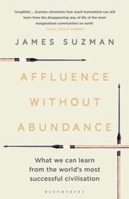 Kniha Affluence without Abundance