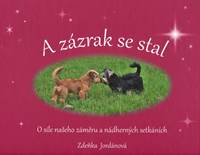 Kniha A zázrak se stal