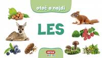 Otoč a nájdi - Les