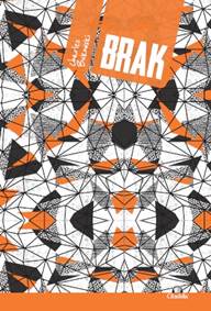 Kniha Brak