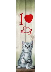 Kniha 3D záložka - I love Mice