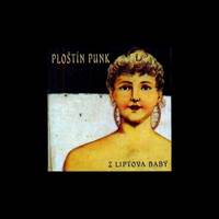 Kniha CD - Z Liptova Baby