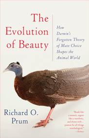 Kniha Evolution of Beauty : How Darwins Forgotten Theory of Mate Choice Shapes the Animal World - and Us