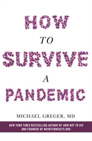Kniha How to Survive a Pandemic