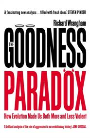 Kniha The Goodness Paradox