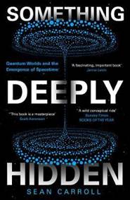 Kniha Something Deeply Hidden Quantum Worlds and the Emergence of Spacetime