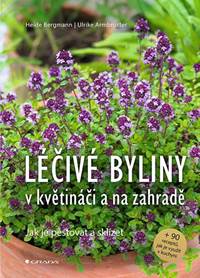 Léčivé byliny v květináči a na zahradě -