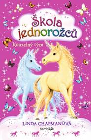 Kniha Škola jednorožců 6 - Kouzelný tým