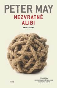 Kniha Nezvratné alibi