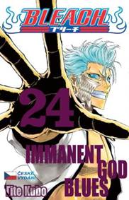 Kniha Bleach 24