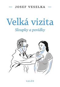 Kniha Velká vizita - Sloupky a povídky