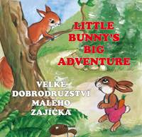 Kniha Velké dobrodružství malého zajíčka / Little Bunny´s Big Adventure