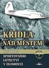 Křídla nad městem - Historie sportovního