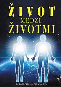 Kniha Život medzi životmi