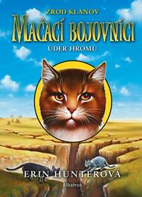 Kniha Mačací bojovníci 2: Úder hromu