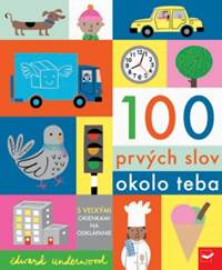 Kniha 100 prvých slov okolo teba
