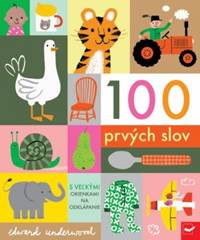 Kniha 100 prvých slov