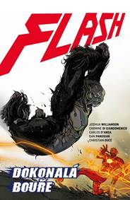 Kniha Flash 7 - Dokonalá bouře