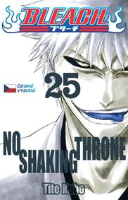 Kniha Bleach 25