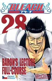 Kniha Bleach 28
