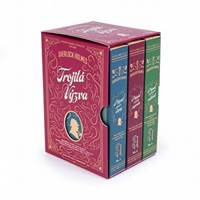 Sherlock Holmes: Trojitá výzva - logická hra