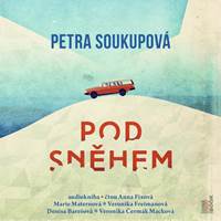 Kniha Pod sněhem - CDmp3